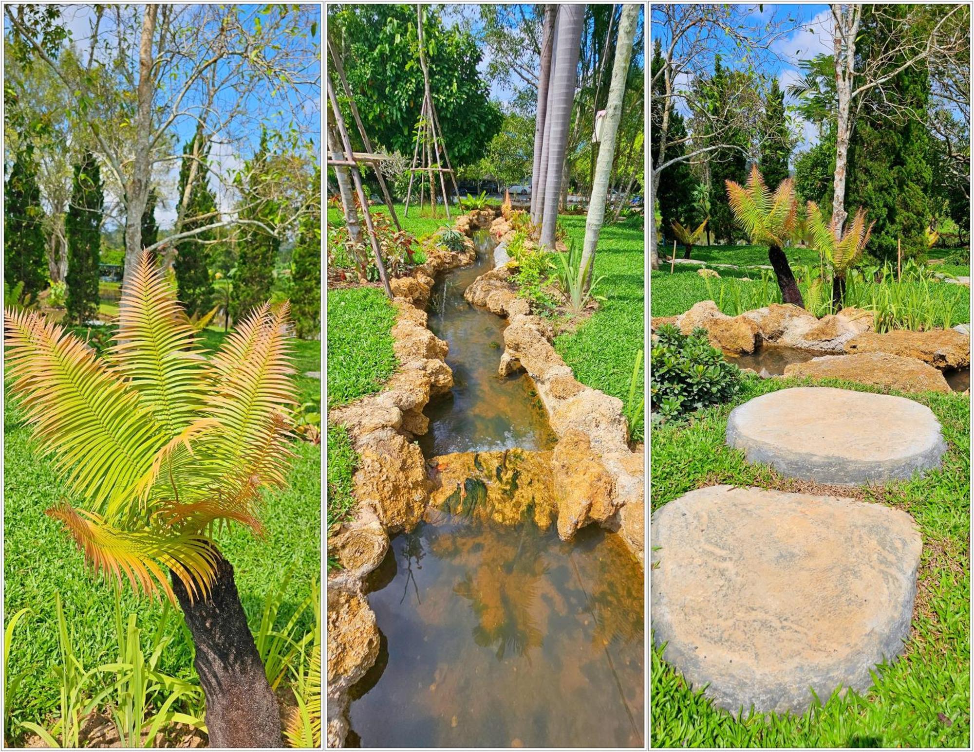 Homdoiintr Farmstay ฮ่อมดอยอินทร์ ฟาร์มสเตย์ Ban Huai Kaeo Exterior foto